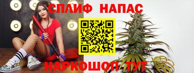 прущие грибы Славянск-на-Кубани