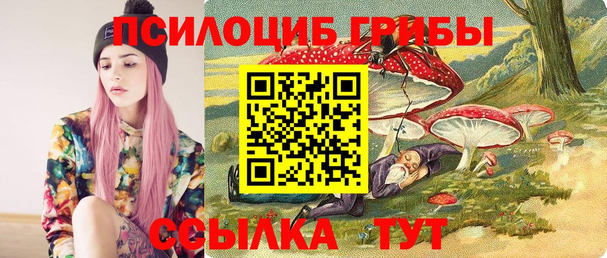 Галлюциногенные грибы Magic Shrooms Орск