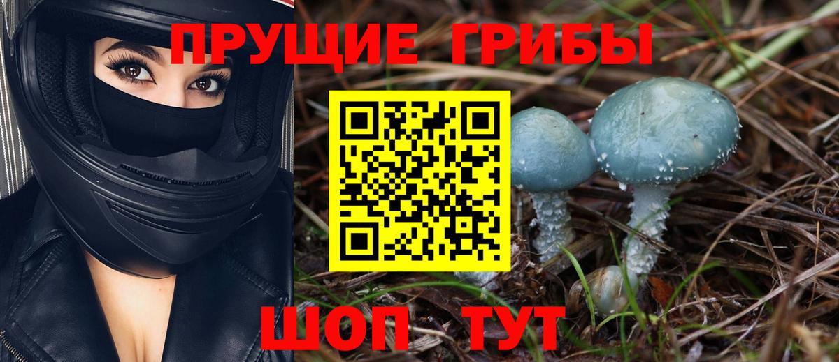 Псилоцибиновые грибы Cubensis  Вход с VPN  Псилоцибиновые грибы мицелий  Орск 